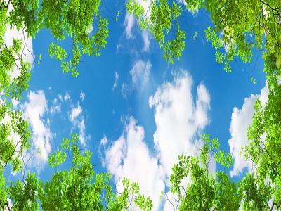 刑法§228利用權勢性交或猥褻罪